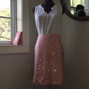 J Crew skirt